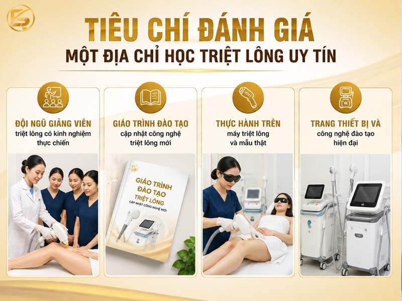 Đồ họa các tiêu chí đánh giá địa chỉ học triệt lông uy tín.