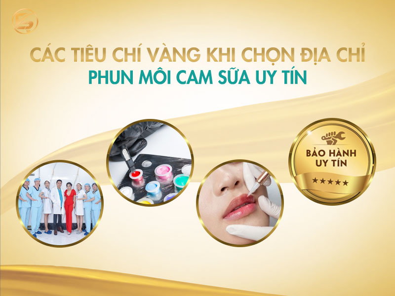 Các tiêu chí cốt lõi giúp lựa chọn địa chỉ phun môi cam sữa chất lượng.