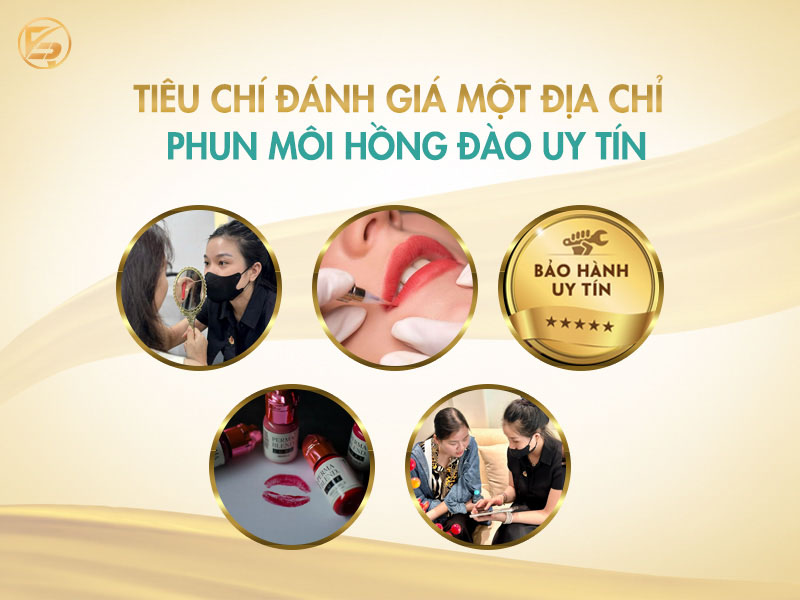 Các tiêu chí quan trọng để chọn địa chỉ phun môi hồng đào uy tín.