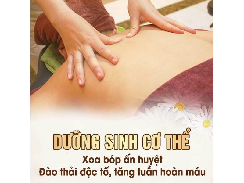 Tác dụng của dưỡng sinh đông y đối với sức khỏe